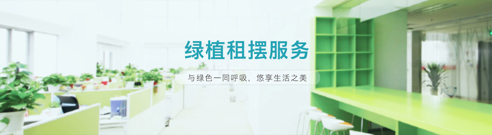 沈陽(yáng)植物租賃